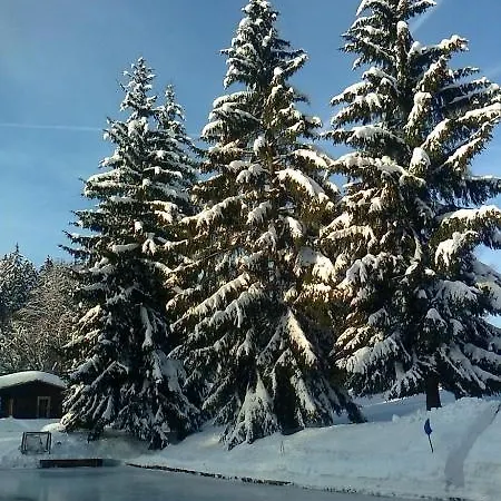 česká